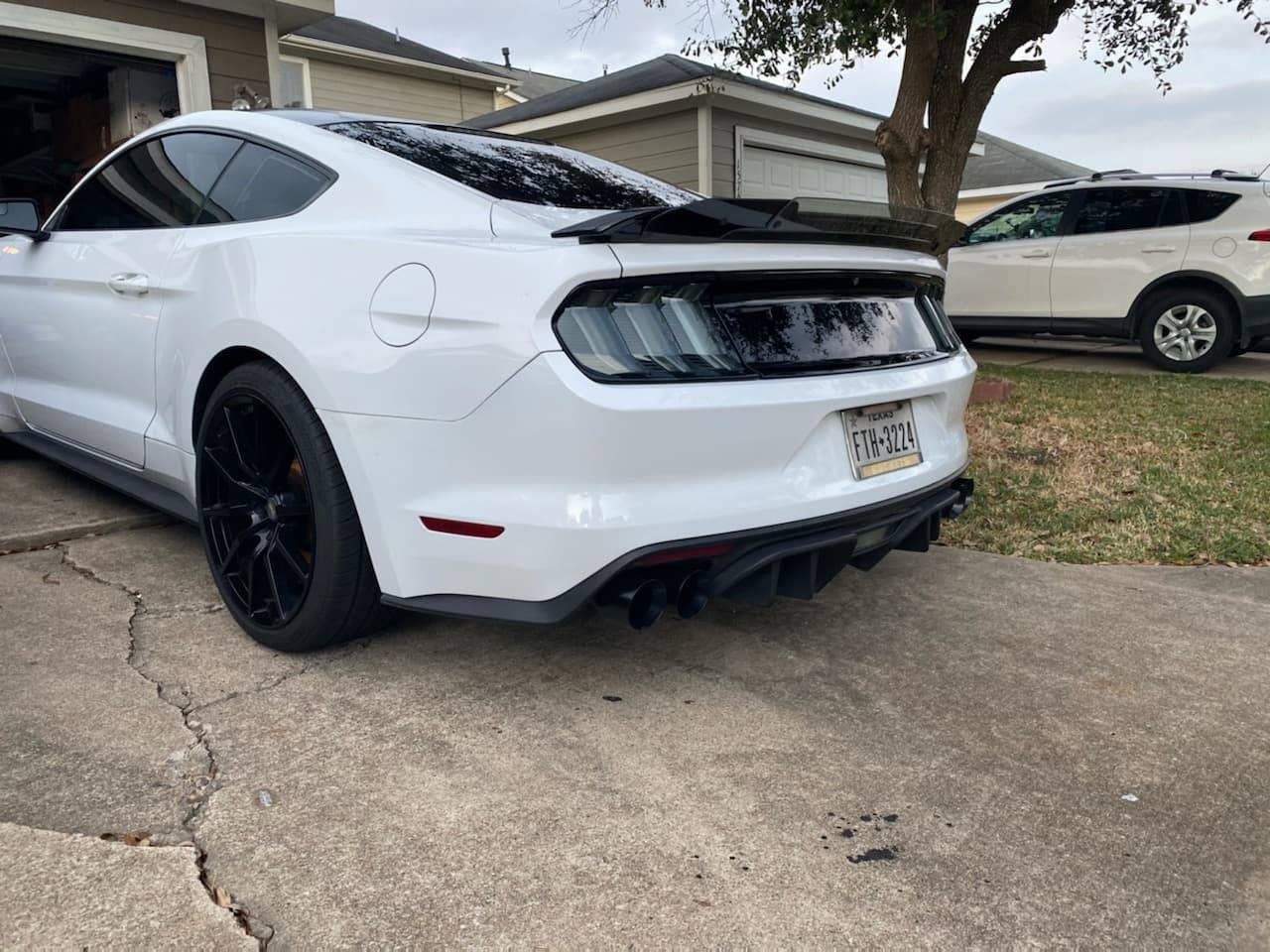 car rear 2.jpg