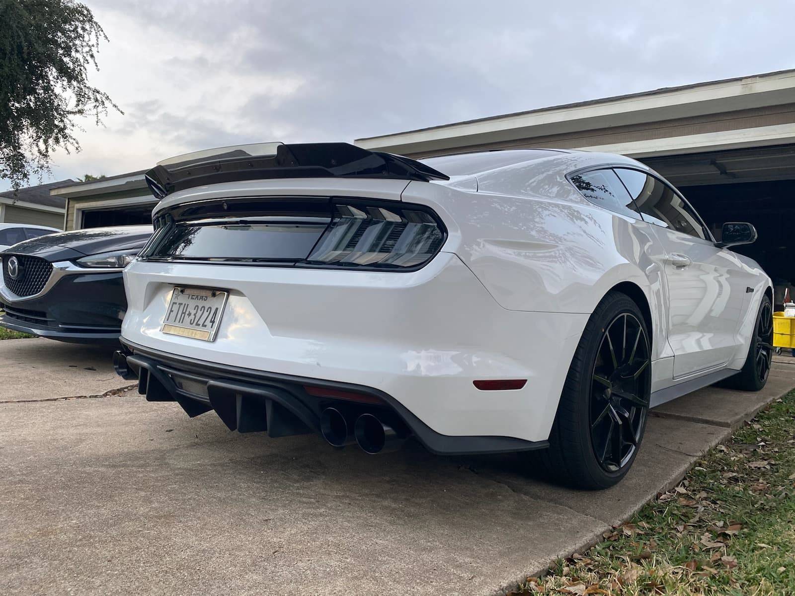 car rear 3.jpg