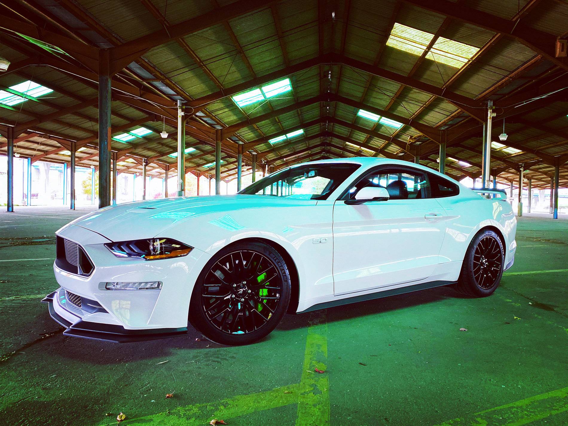 19gt.JPG