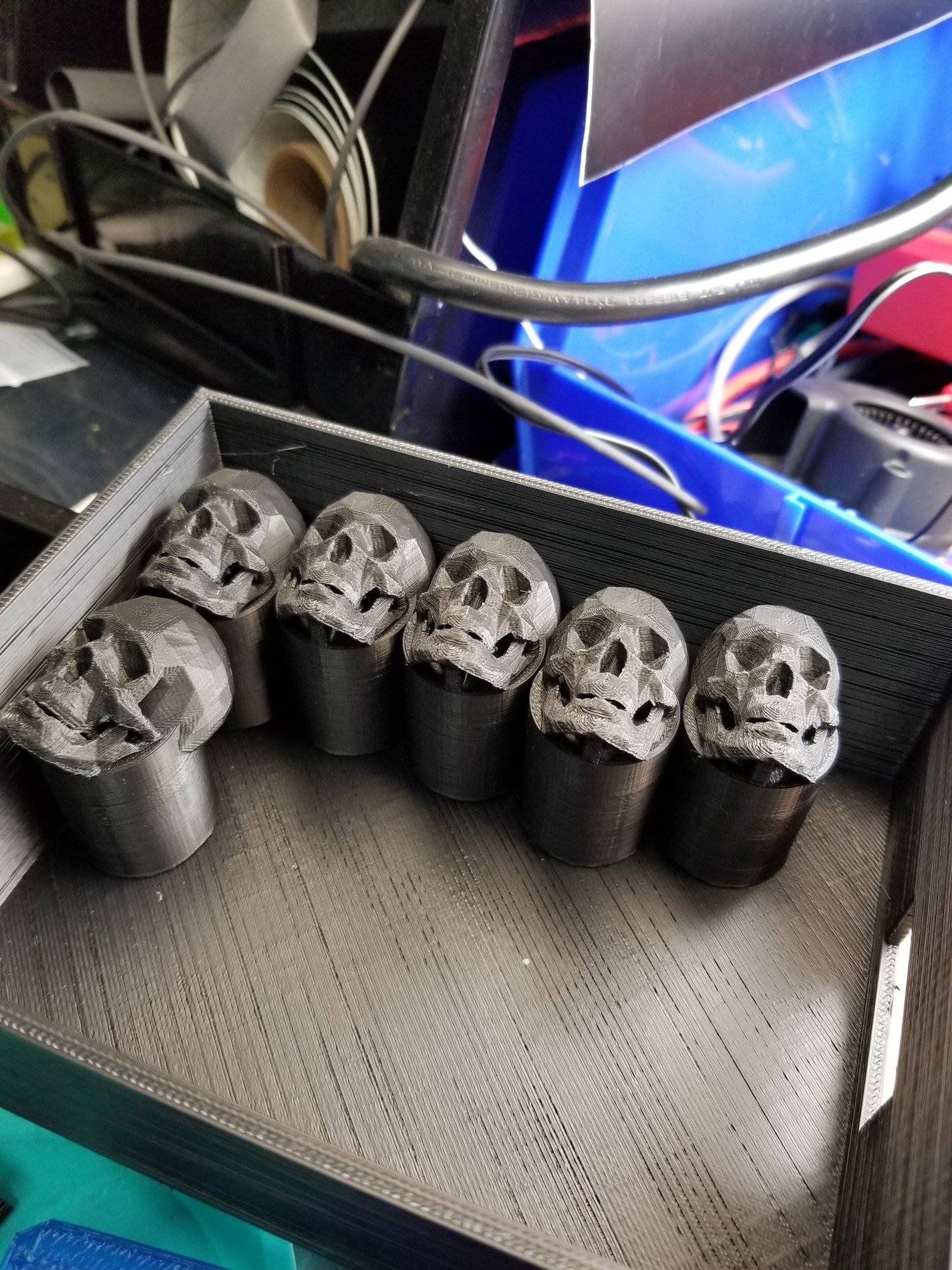 skull 1.jpg