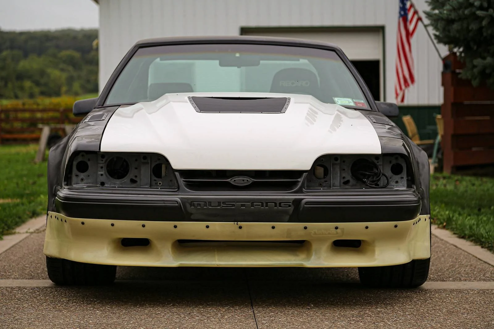 IMG_6142-2-X3.webp