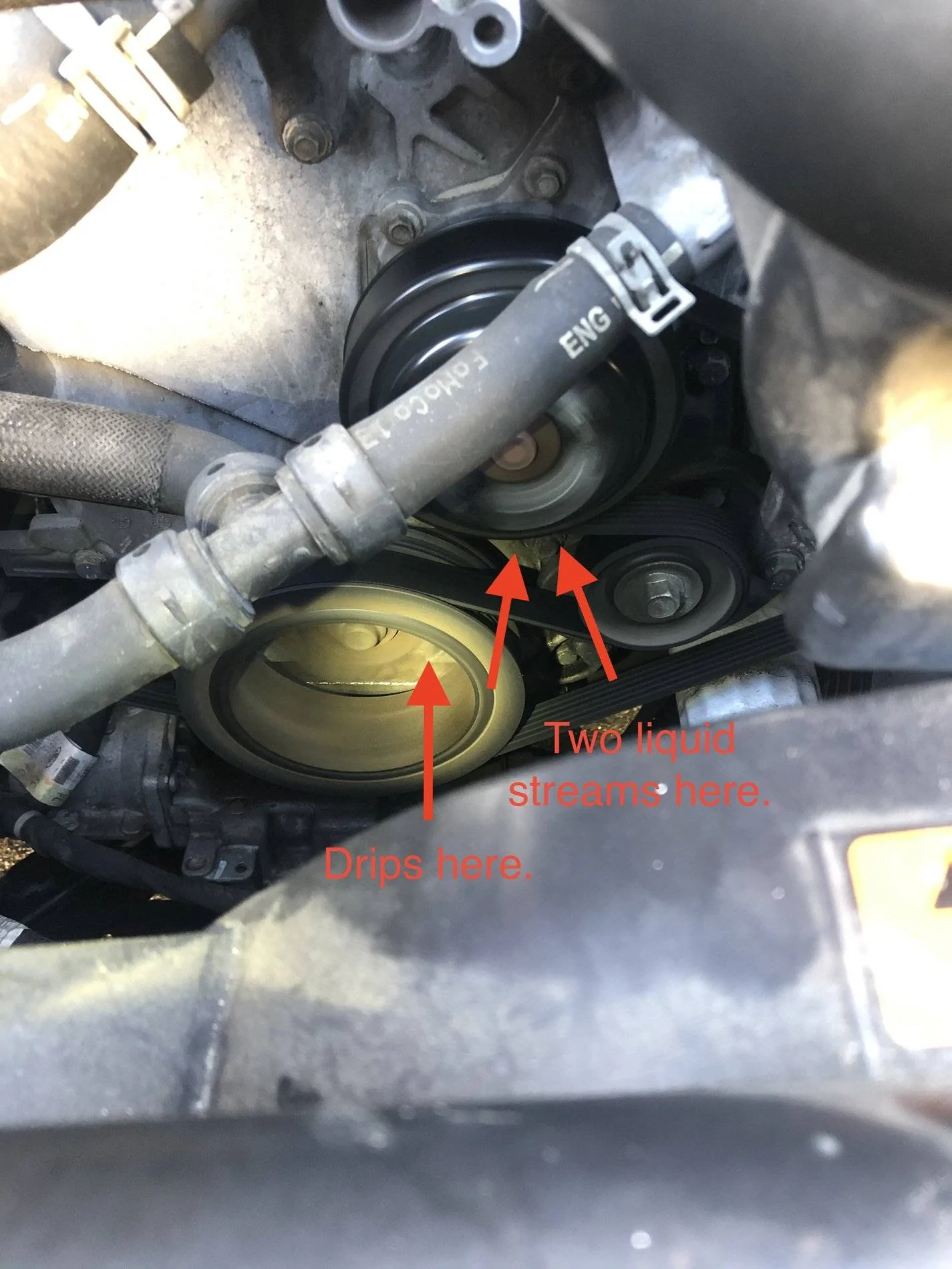 Engine.webp