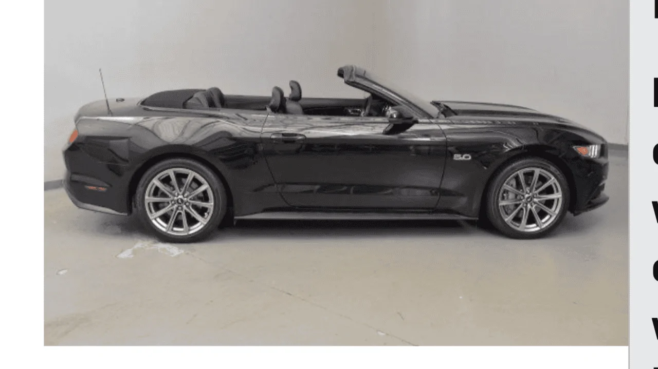 Mustang.webp