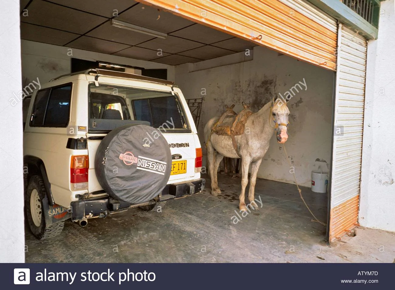 white-horse-and-jeep-in-a-garage-in-a-residential-section-of-cartagena-ATYM7D.webp