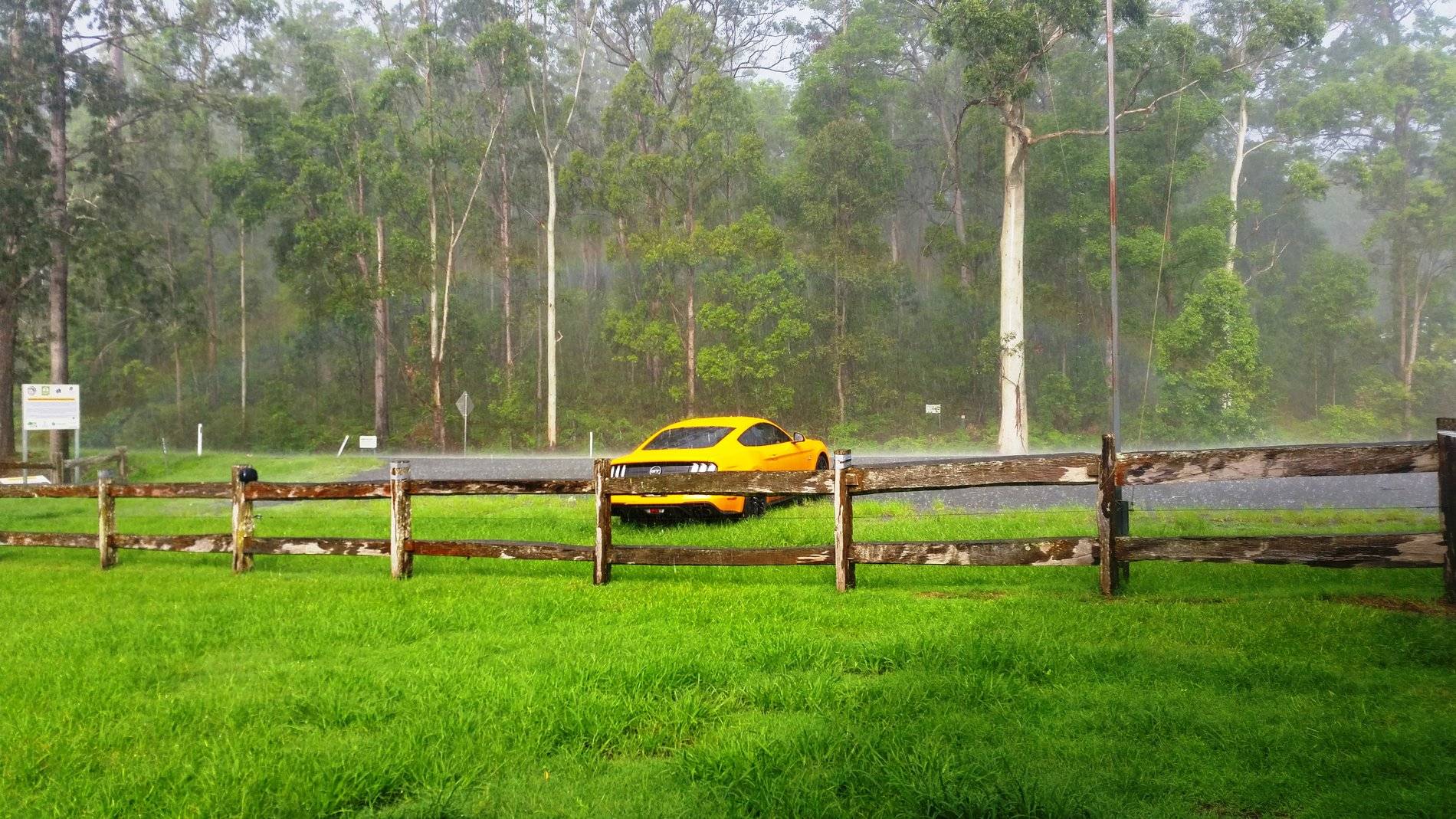 mustang rainbow 2.jpg