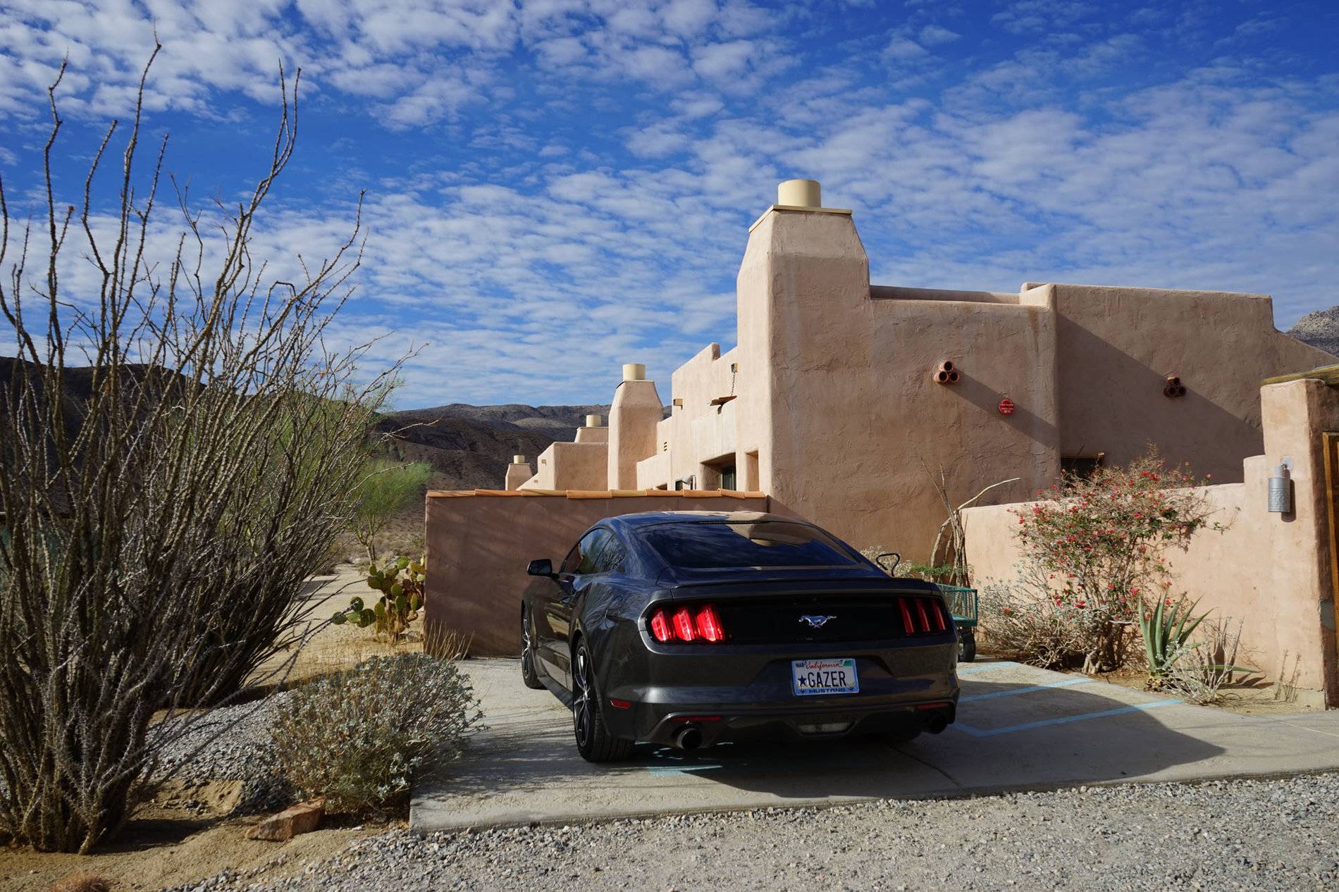 Mustang at Borrego Springs 10 2016.jpg