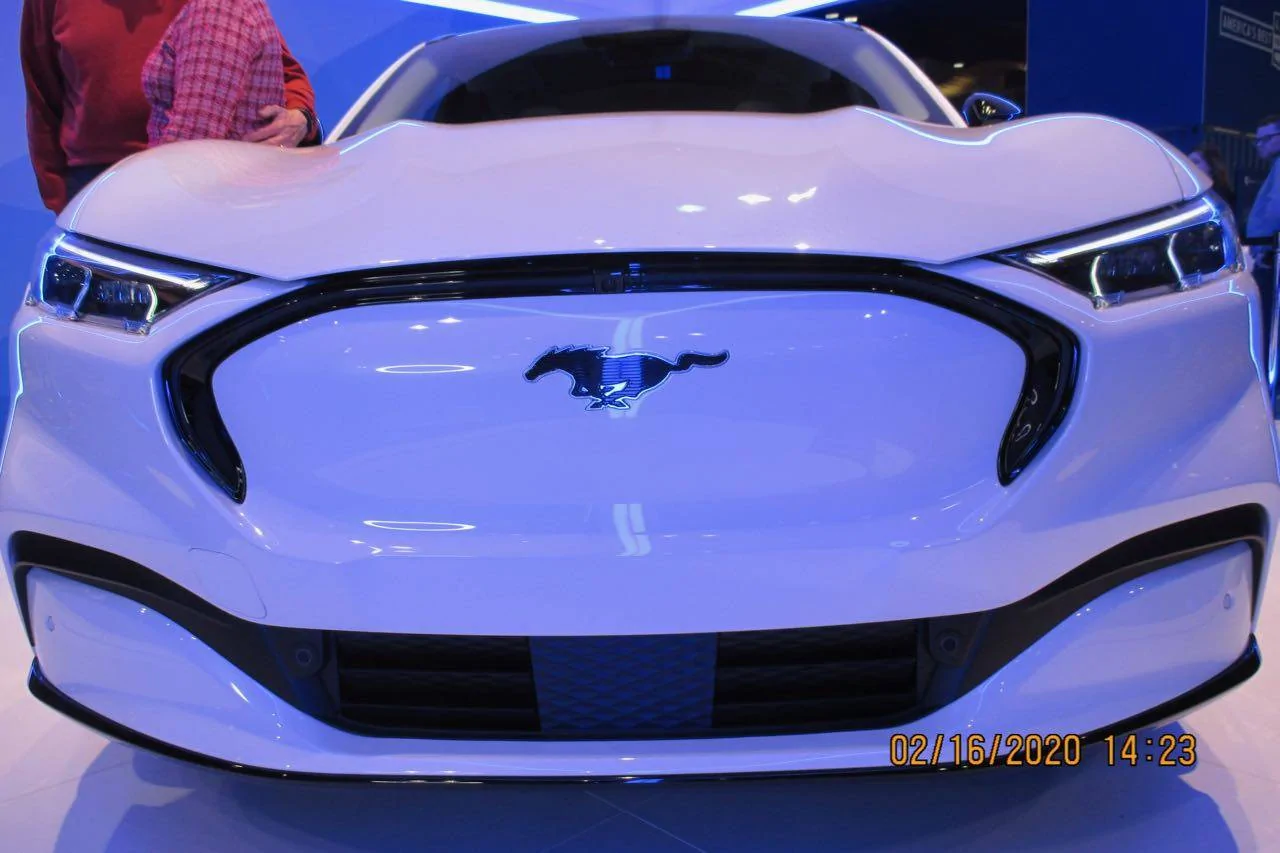 IMG_5162.webp