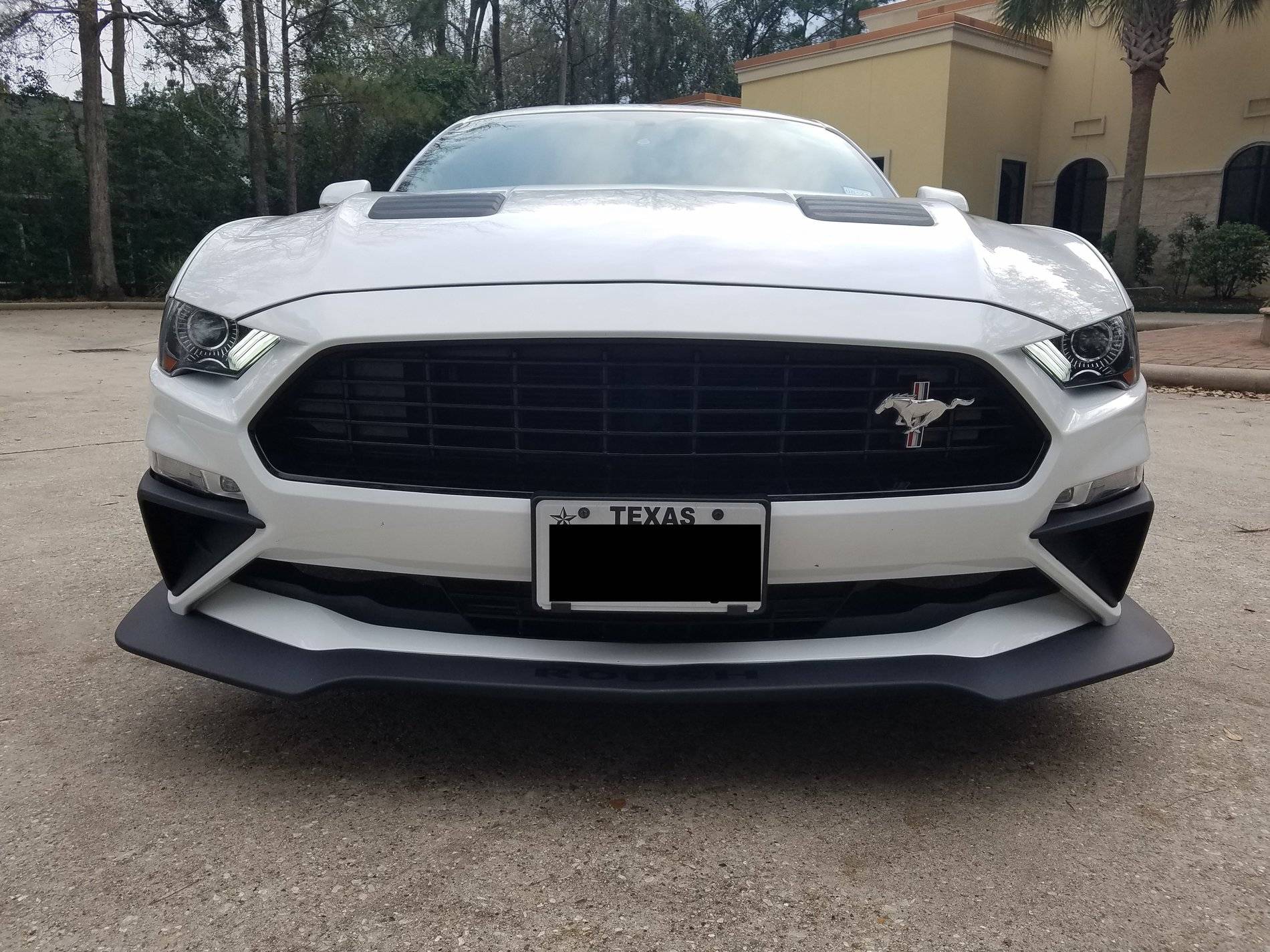 Car Front.jpg