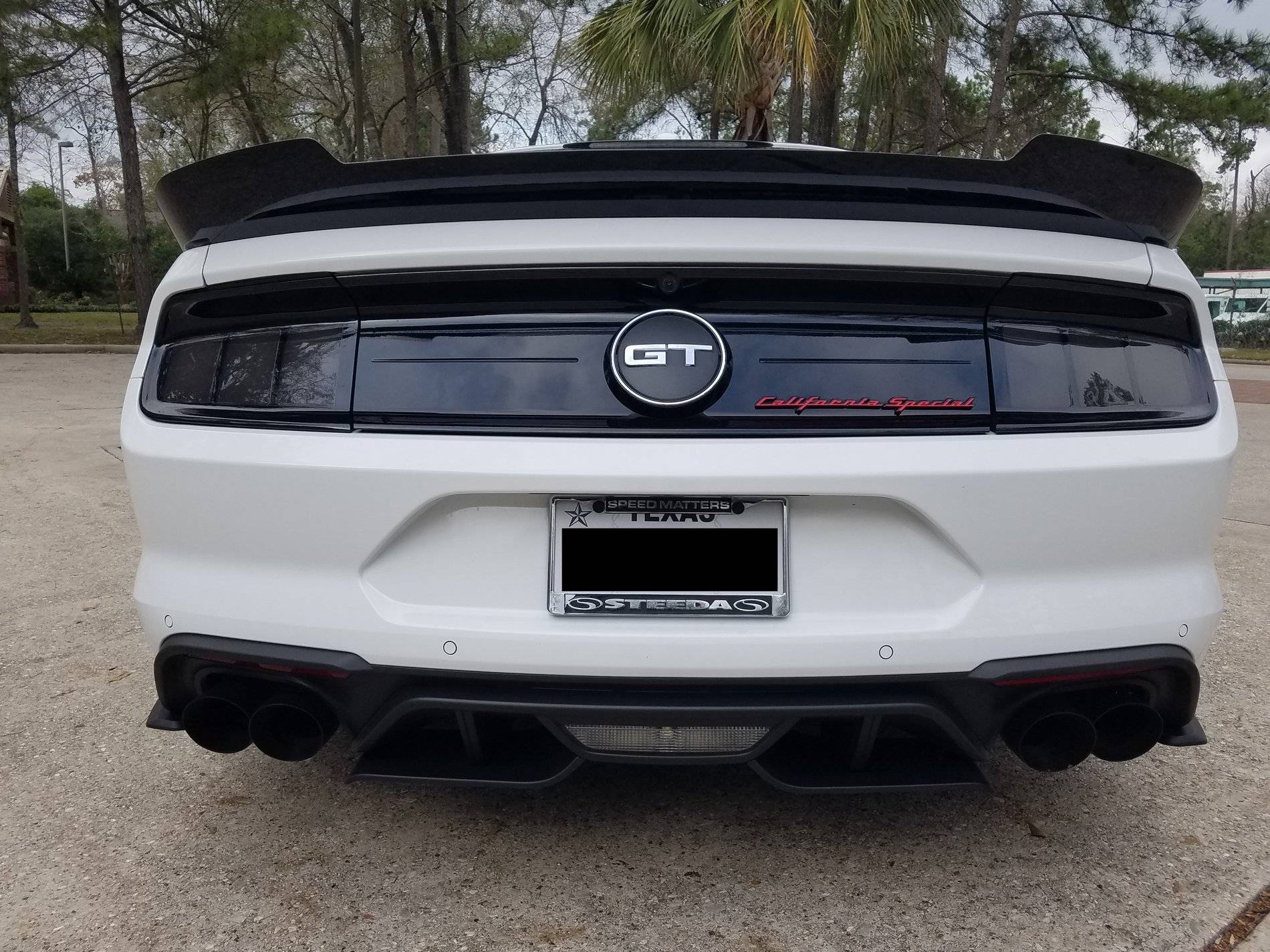 Car Rear.jpg