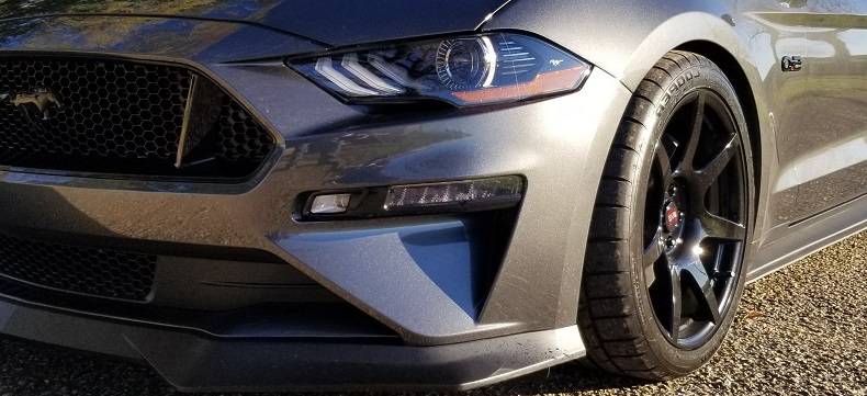 Tint-trim 1.jpg