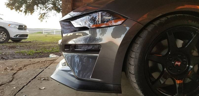 Tint-trim 2.jpg