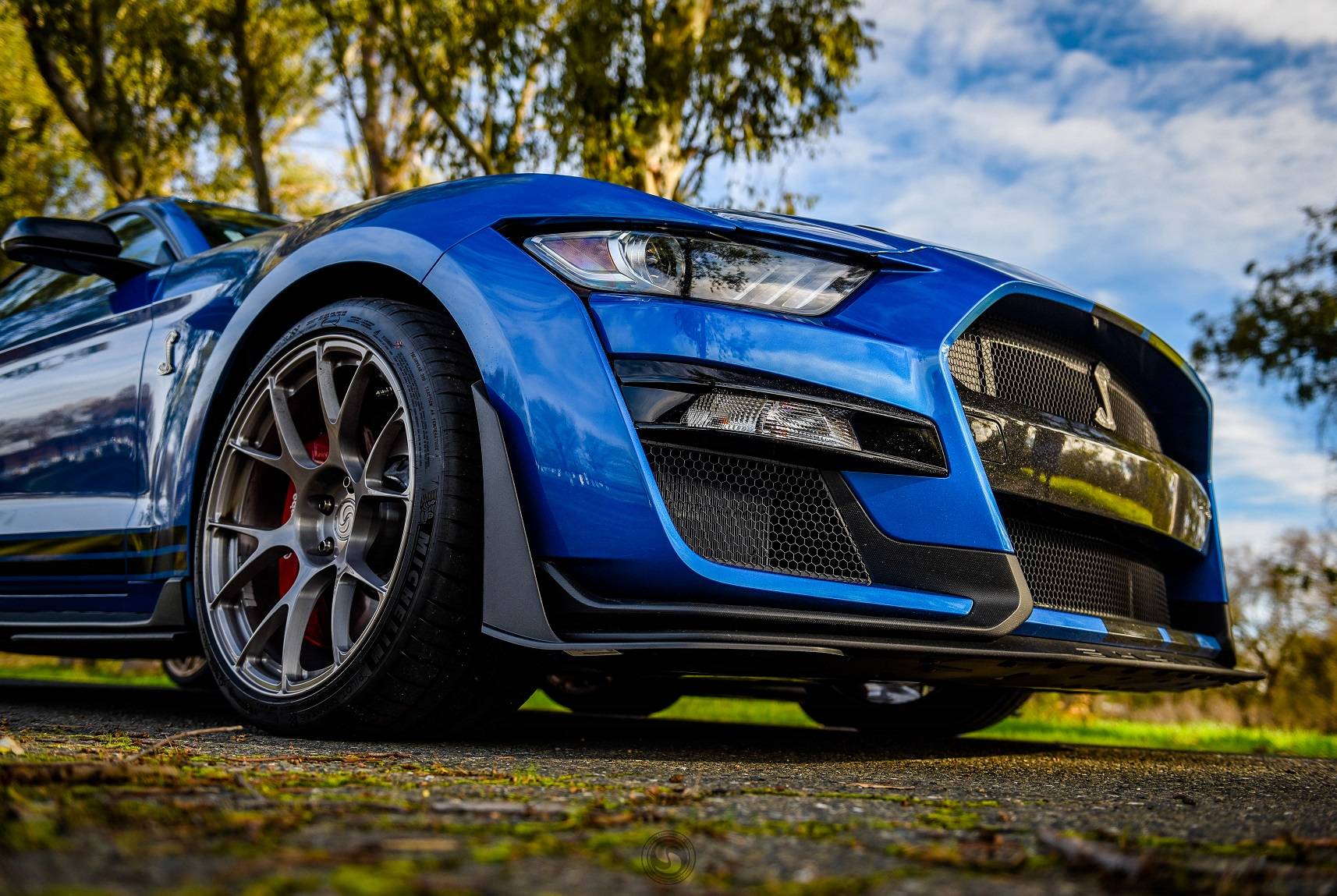 SV503 GT500 (1).jpg