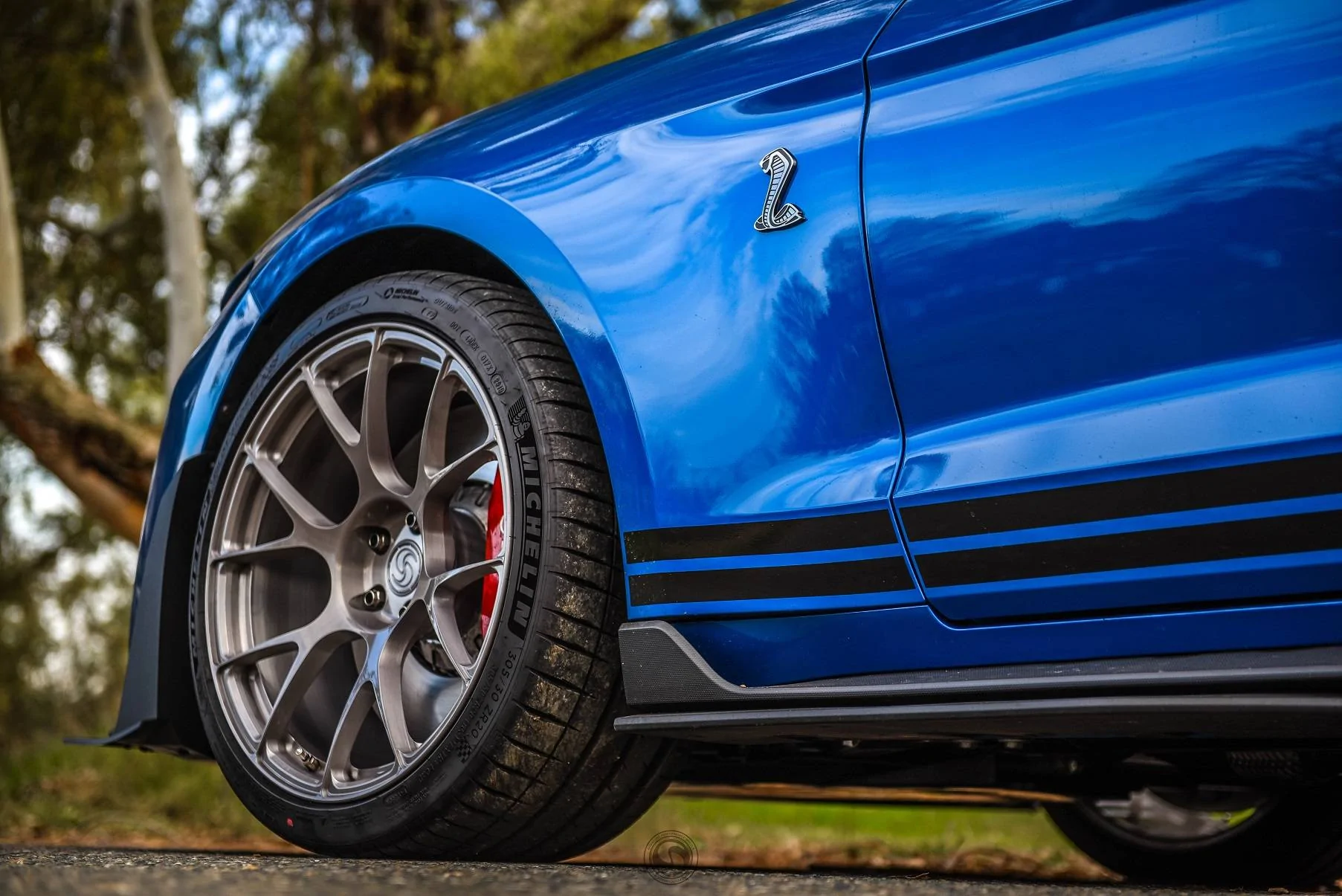 SV503 GT500 (14).webp