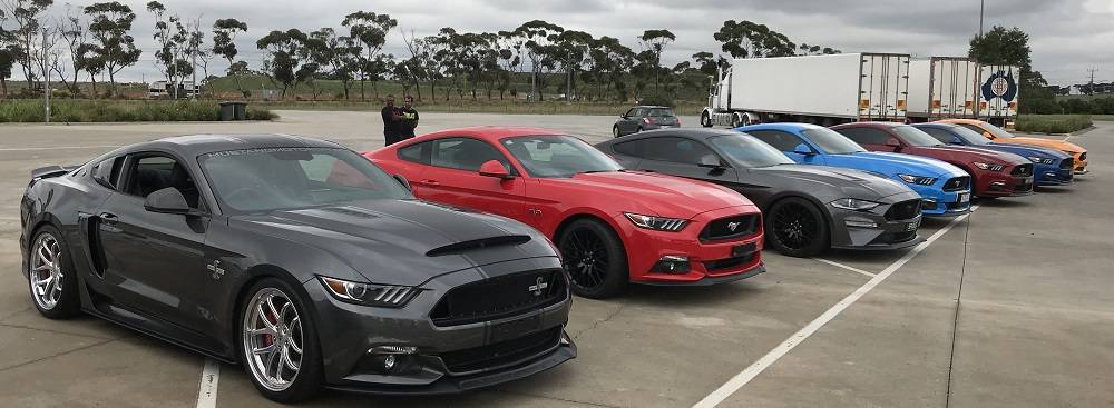 Eastside%20Mustang%20Club%20Trentham%20Falls%20run%2016-2-20%20%20%20%20%20(7).jpg