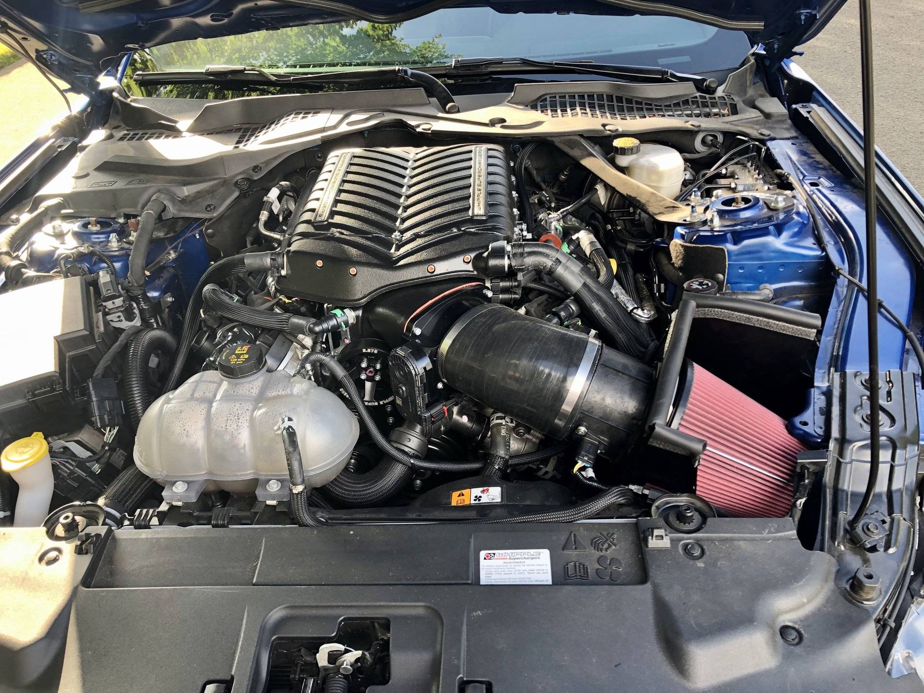 whipple stg2.jpg