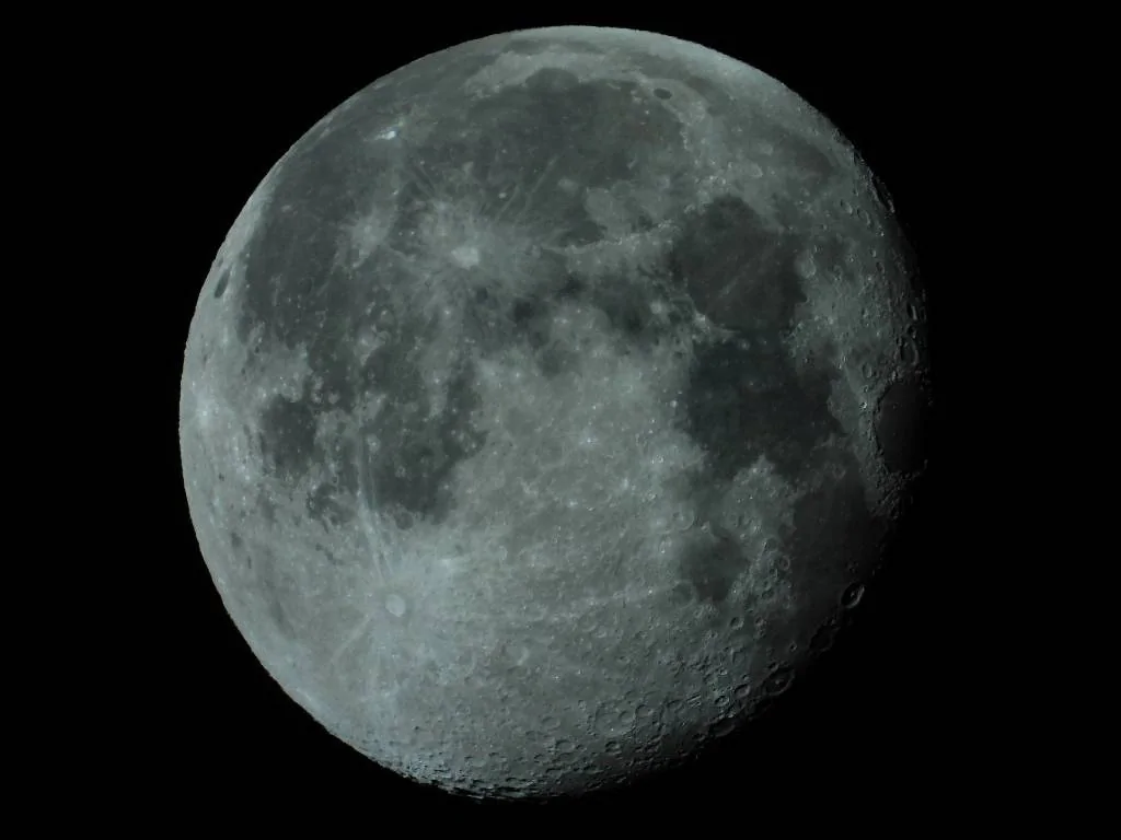 DSCN8709.webp