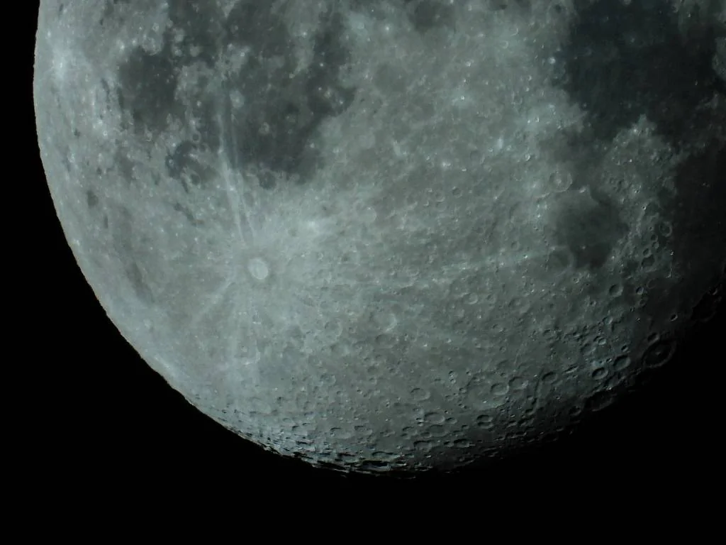 DSCN8710.webp