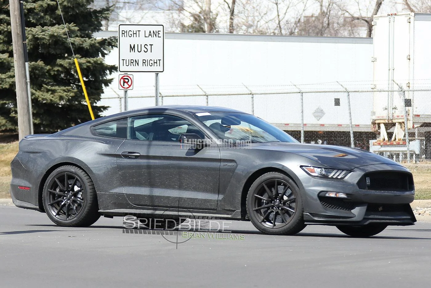 GT350 Mustang Magnetic -2.webp