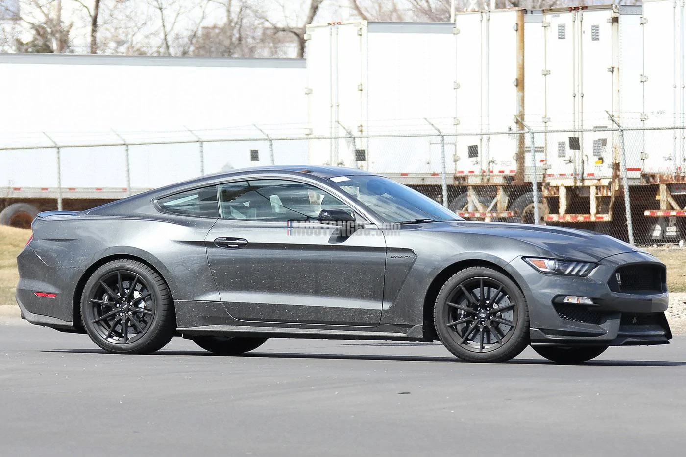 GT350 Mustang Magnetic -4.webp