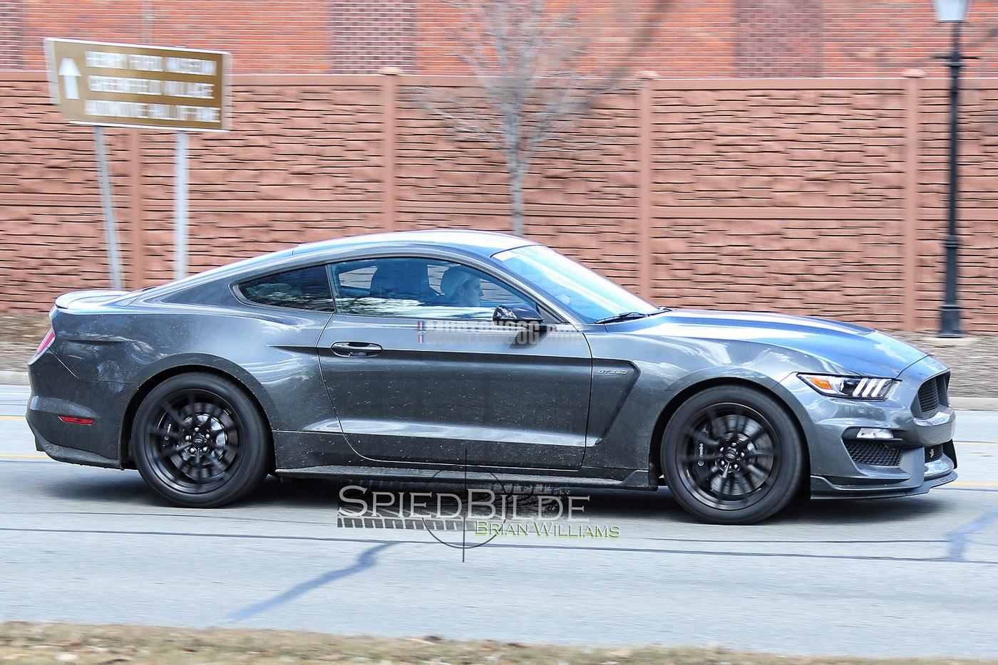 GT350 Mustang Magnetic -8.jpg