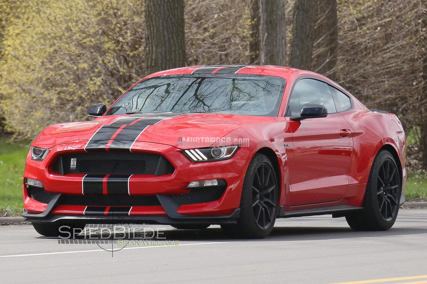 GT350 Mustang Race Red-1.webp