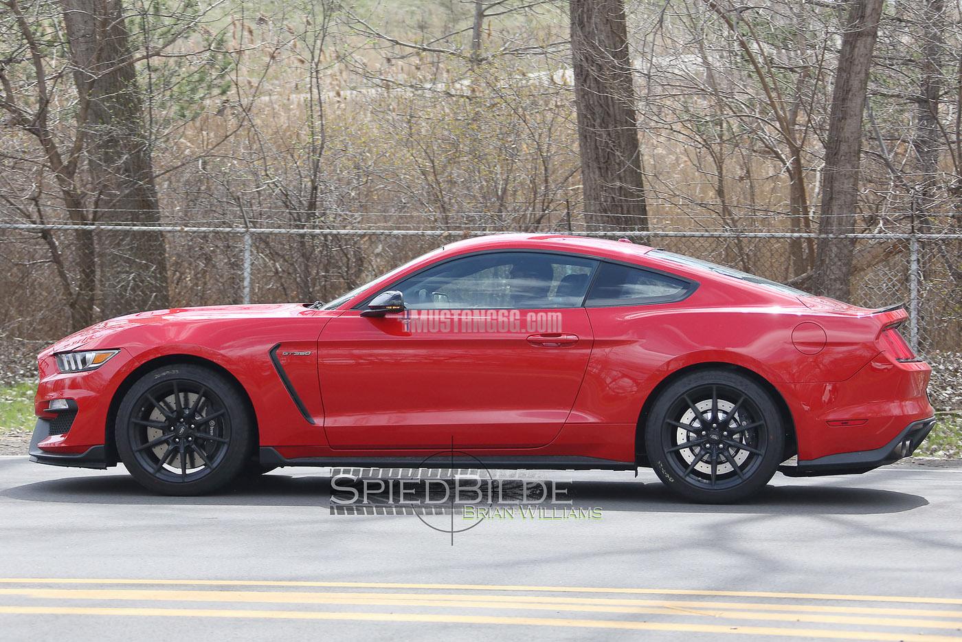 GT350 Mustang Race Red-2.jpg