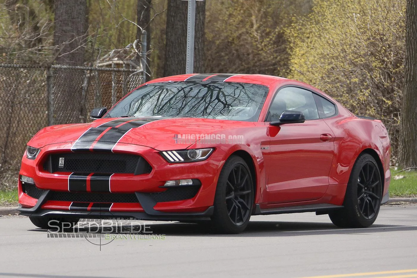 GT350 Mustang Race Red-7.webp