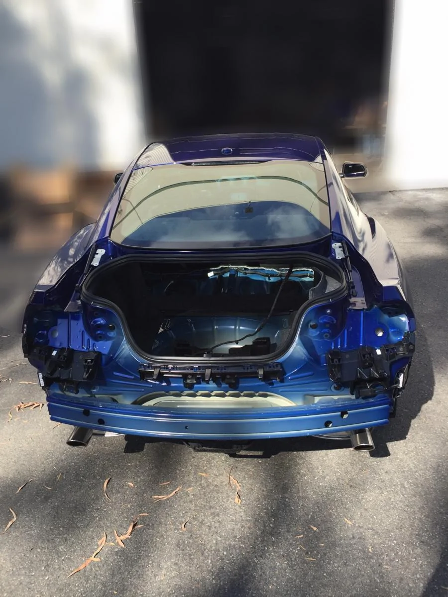 trunkremoved-blur.webp