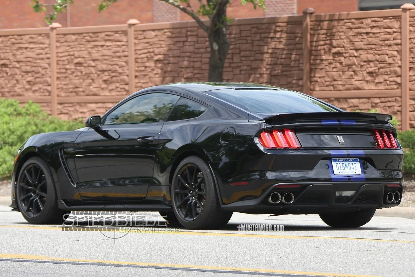 Black Shelby GT350 Mustang-5.webp