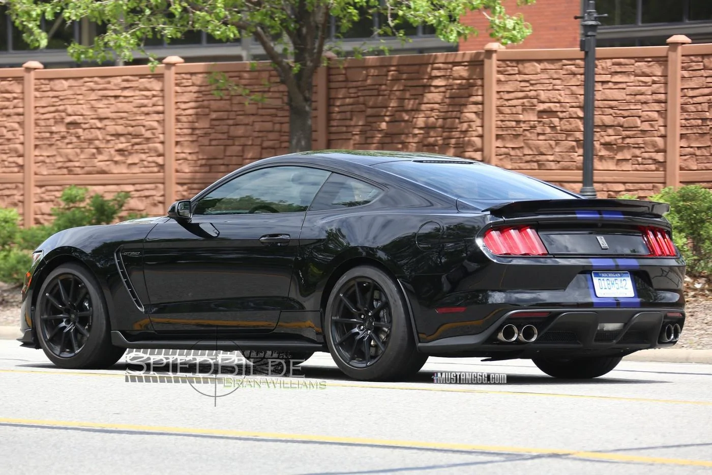 Black Shelby GT350 Mustang-6.webp