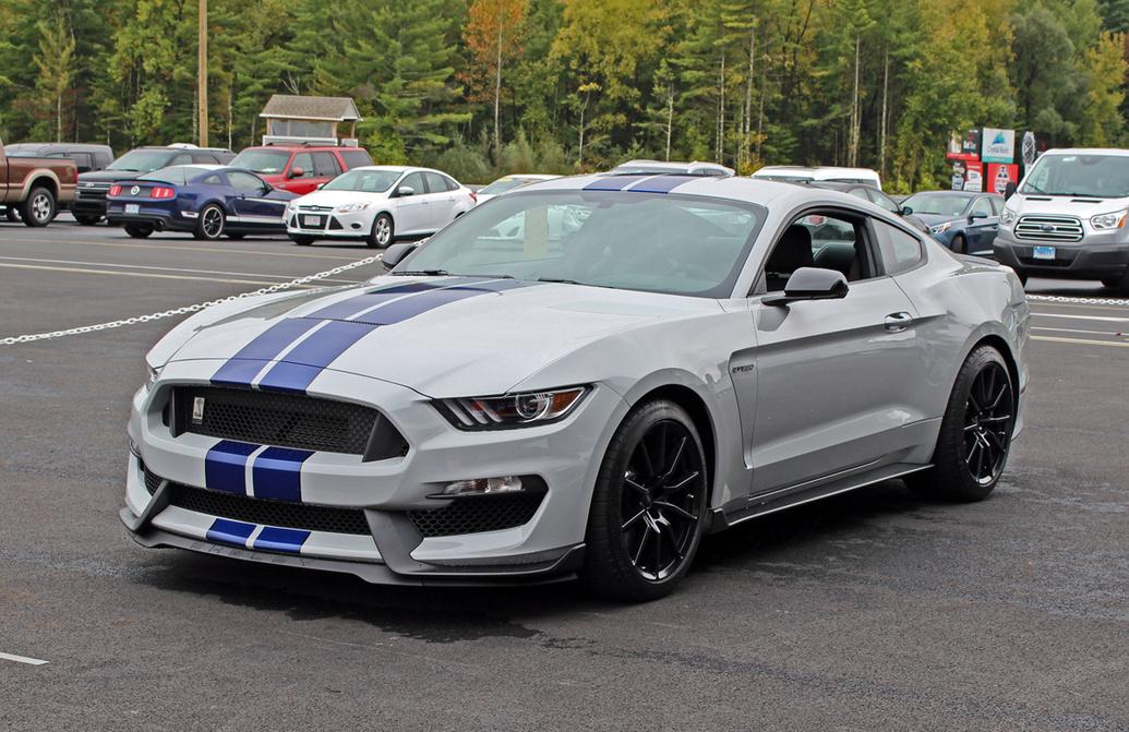 2015-gt350-track-2-15_1035.jpg