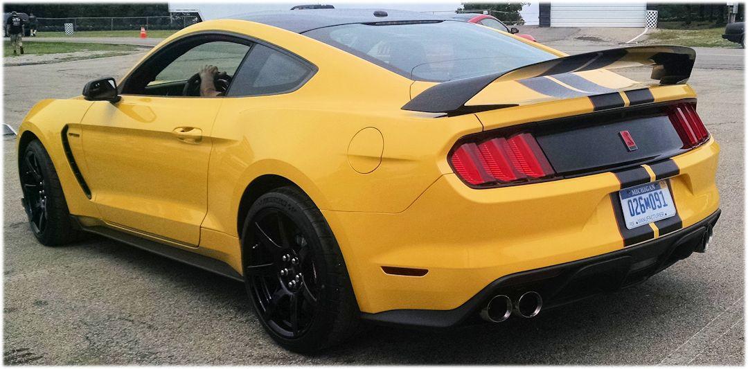 yelow091.jpg