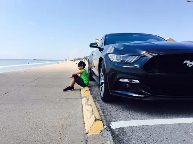 mustang3.webp