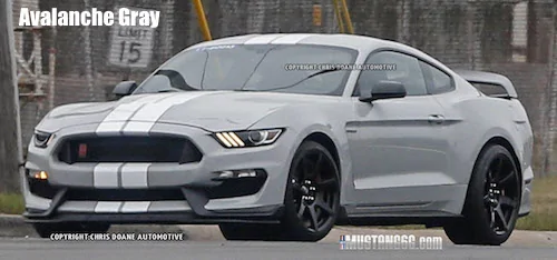 Avalanche Gray GT350.webp