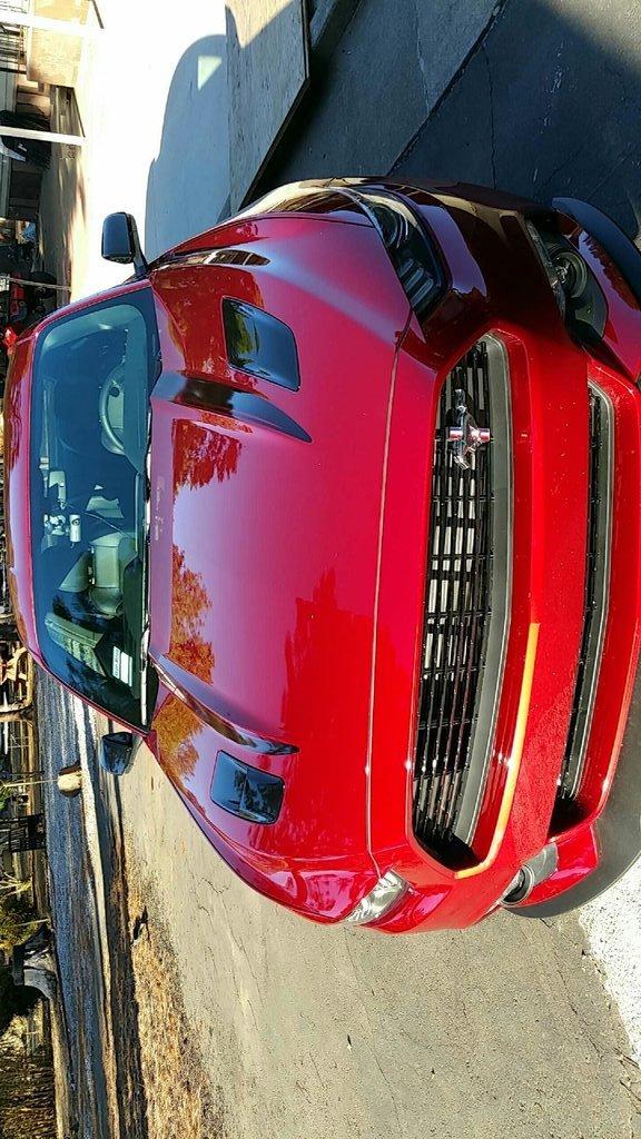 rsz_mustang_sun_2_1.jpg