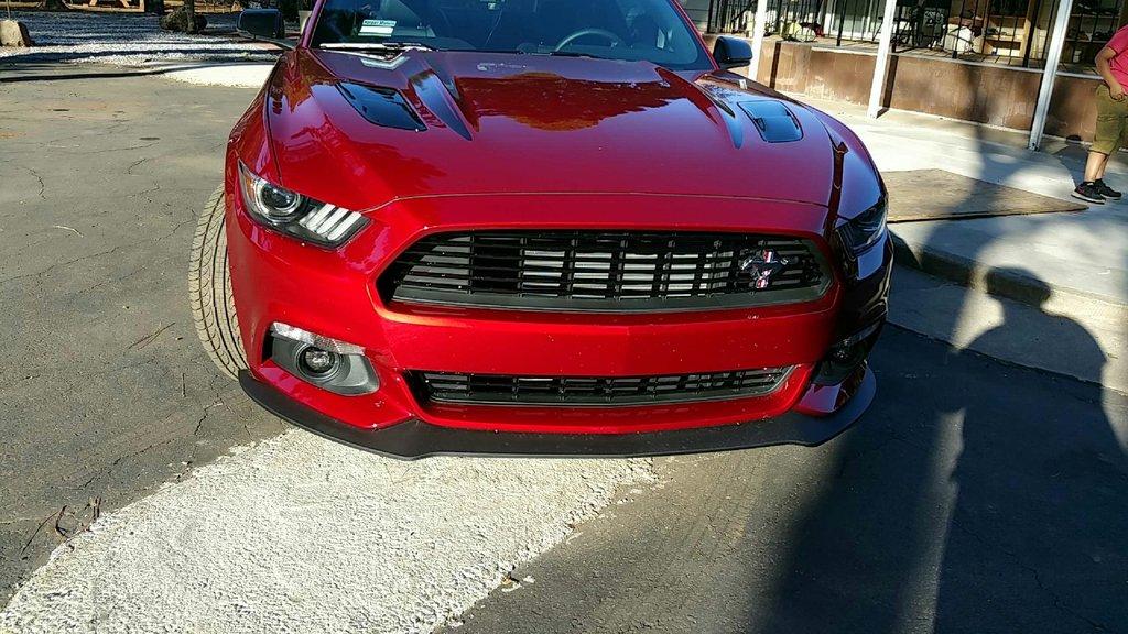 rsz_mustang_sun_2_2.jpg