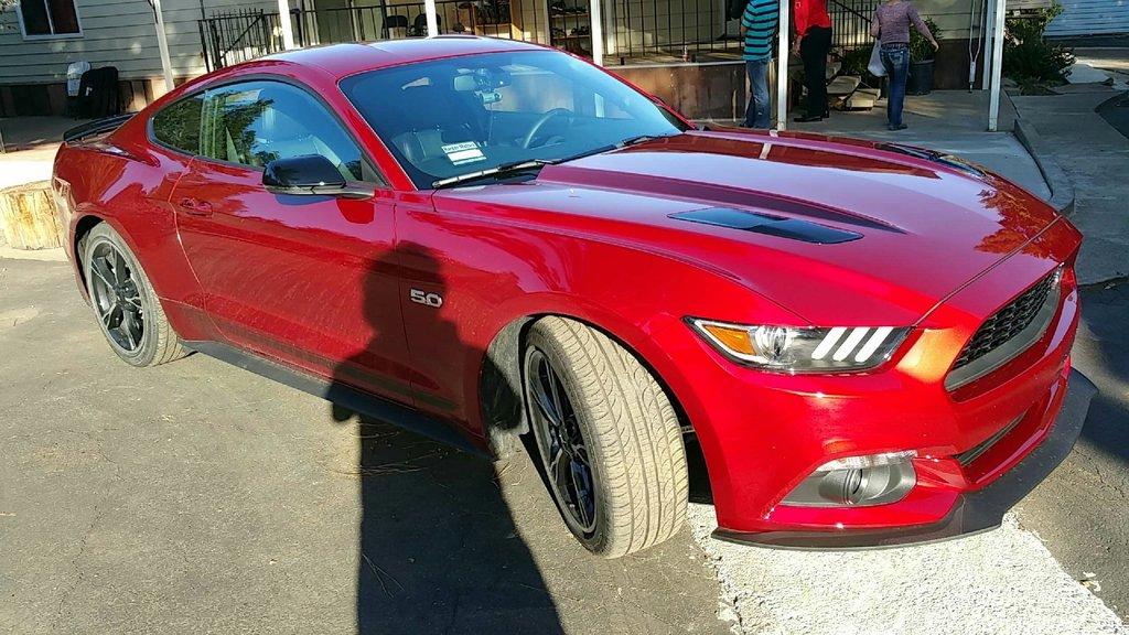 rsz_mustang_sun_3.jpg