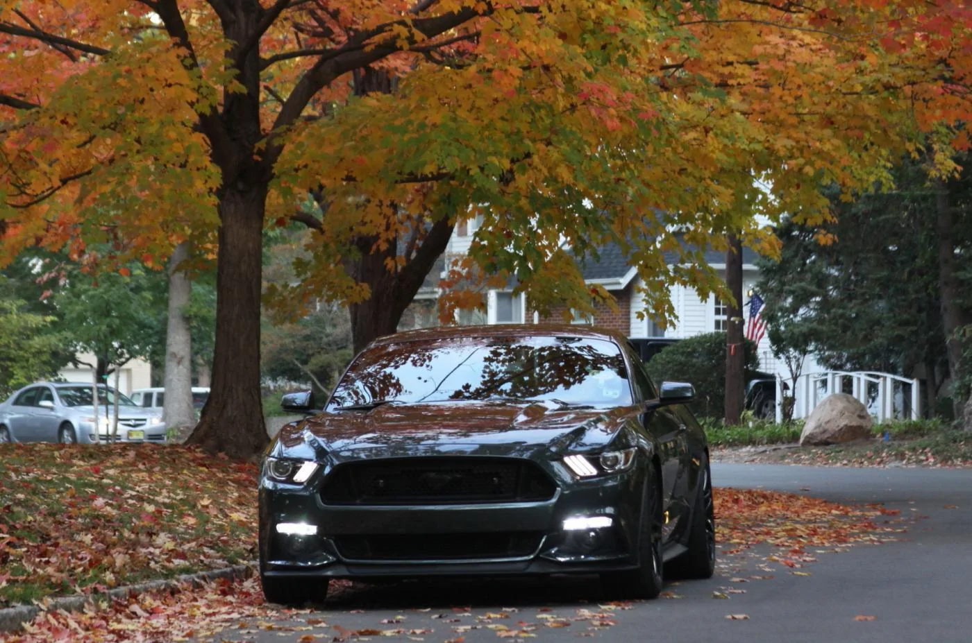 IMG_4550-1.webp