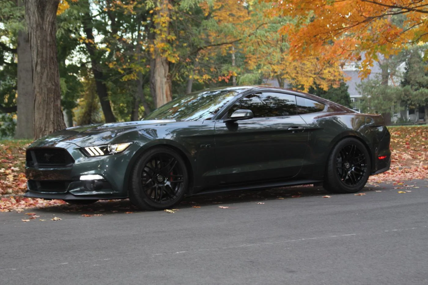 IMG_4553.webp