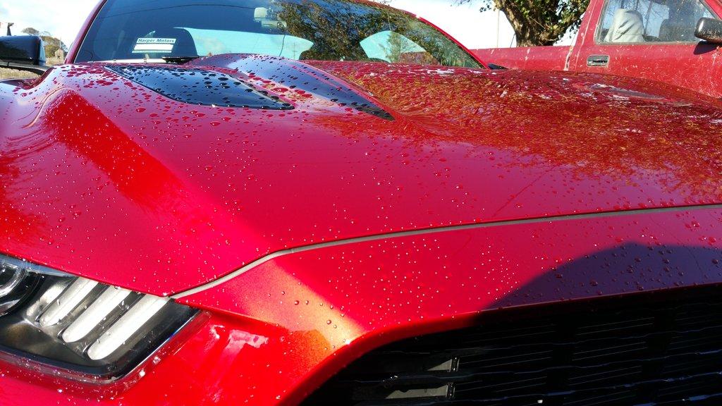 rsz_20151028_110632.jpg