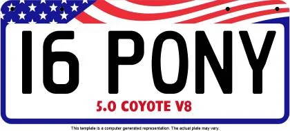 1-I6PONY STRIPES.webp