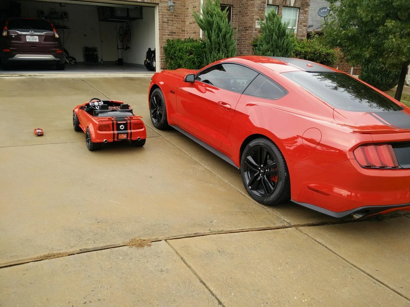IMG_20151101_145743.webp