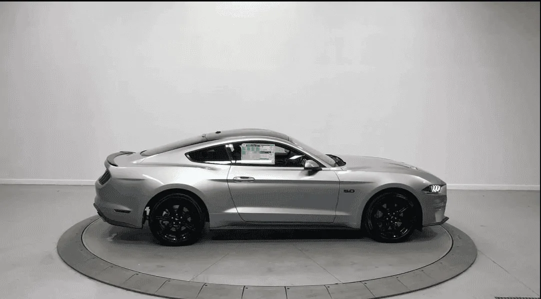 MyMustang1.webp