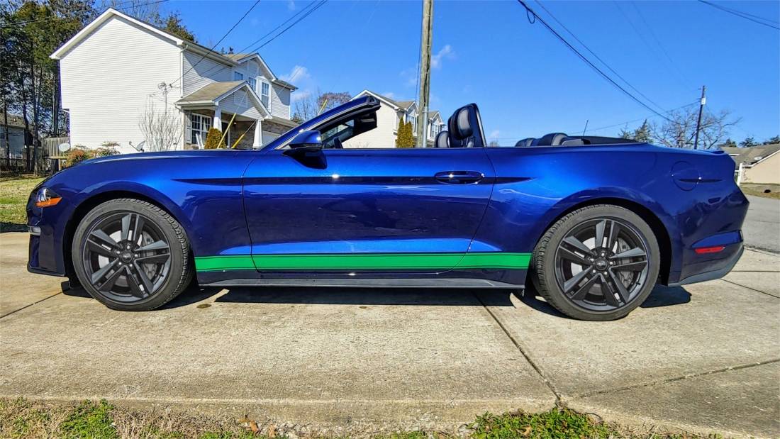 Hilfloskind%20Mustang.jpg