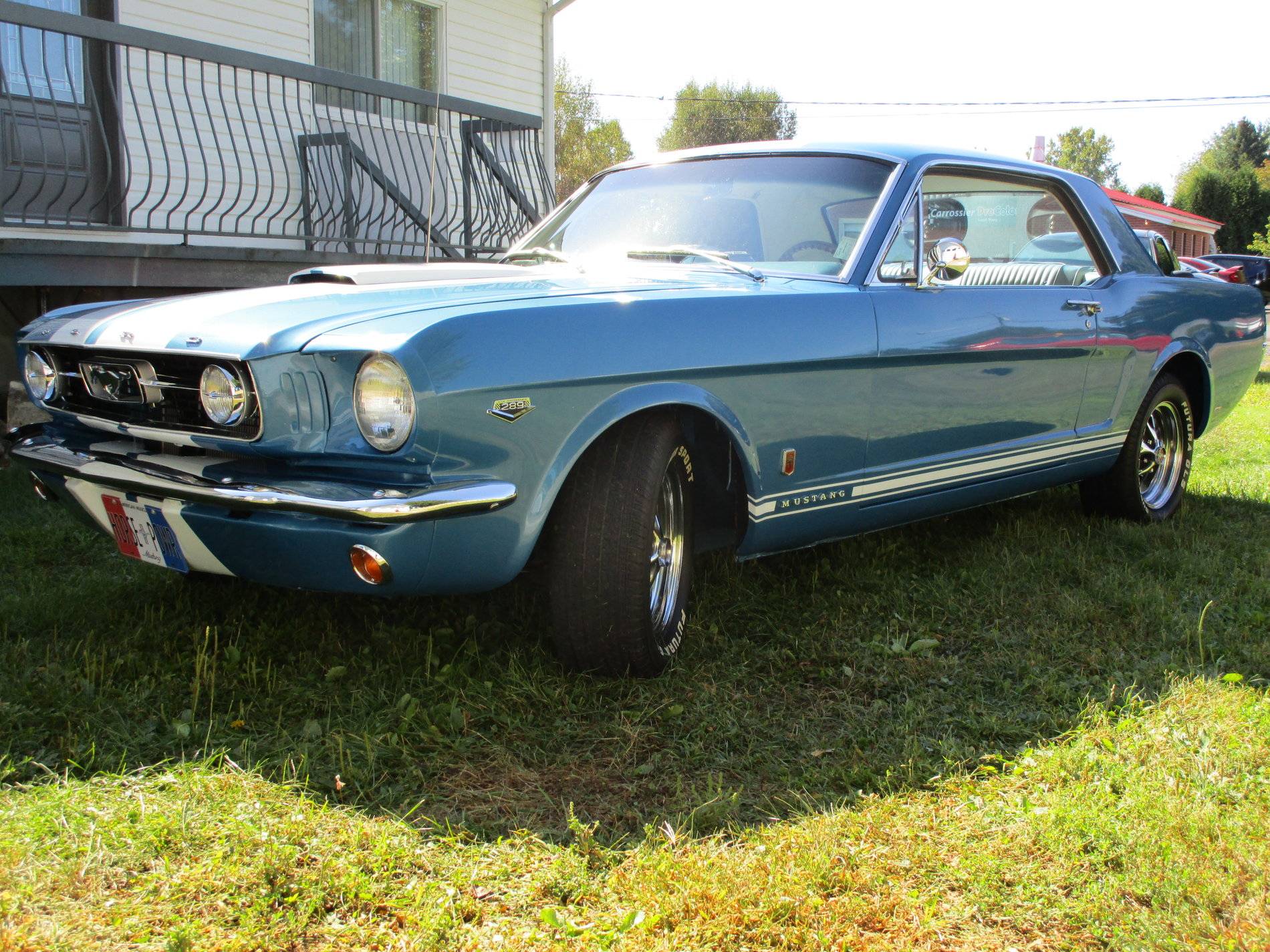 mustang 002.jpg