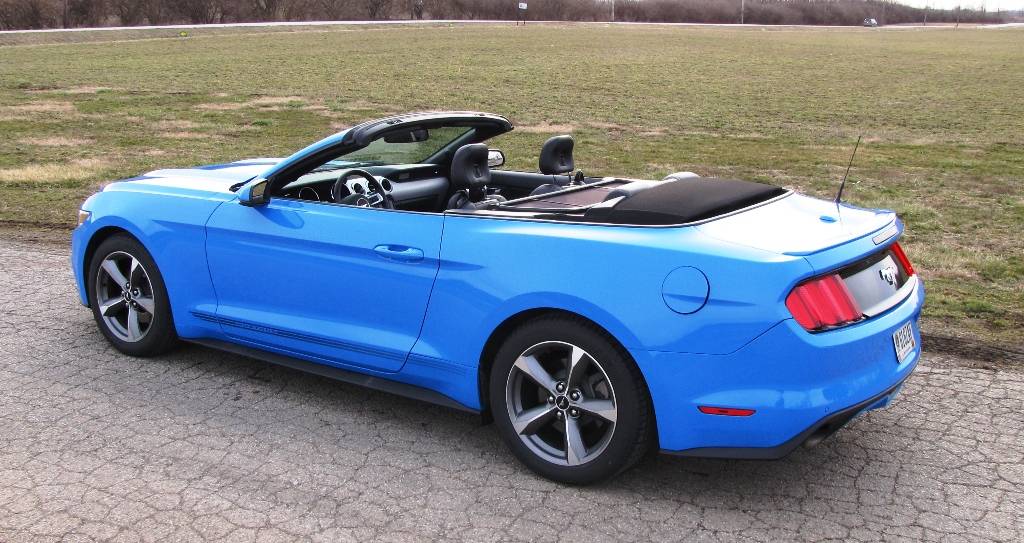 Mustang 1.JPG