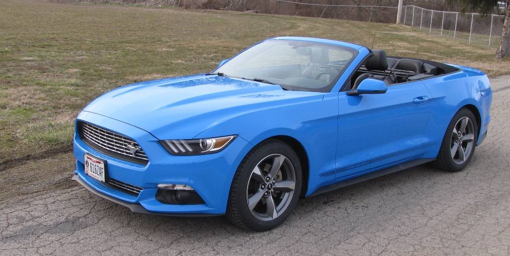Mustang 2.JPG