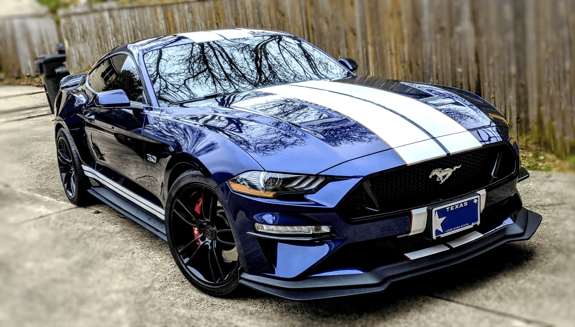 Kona_Blue.webp