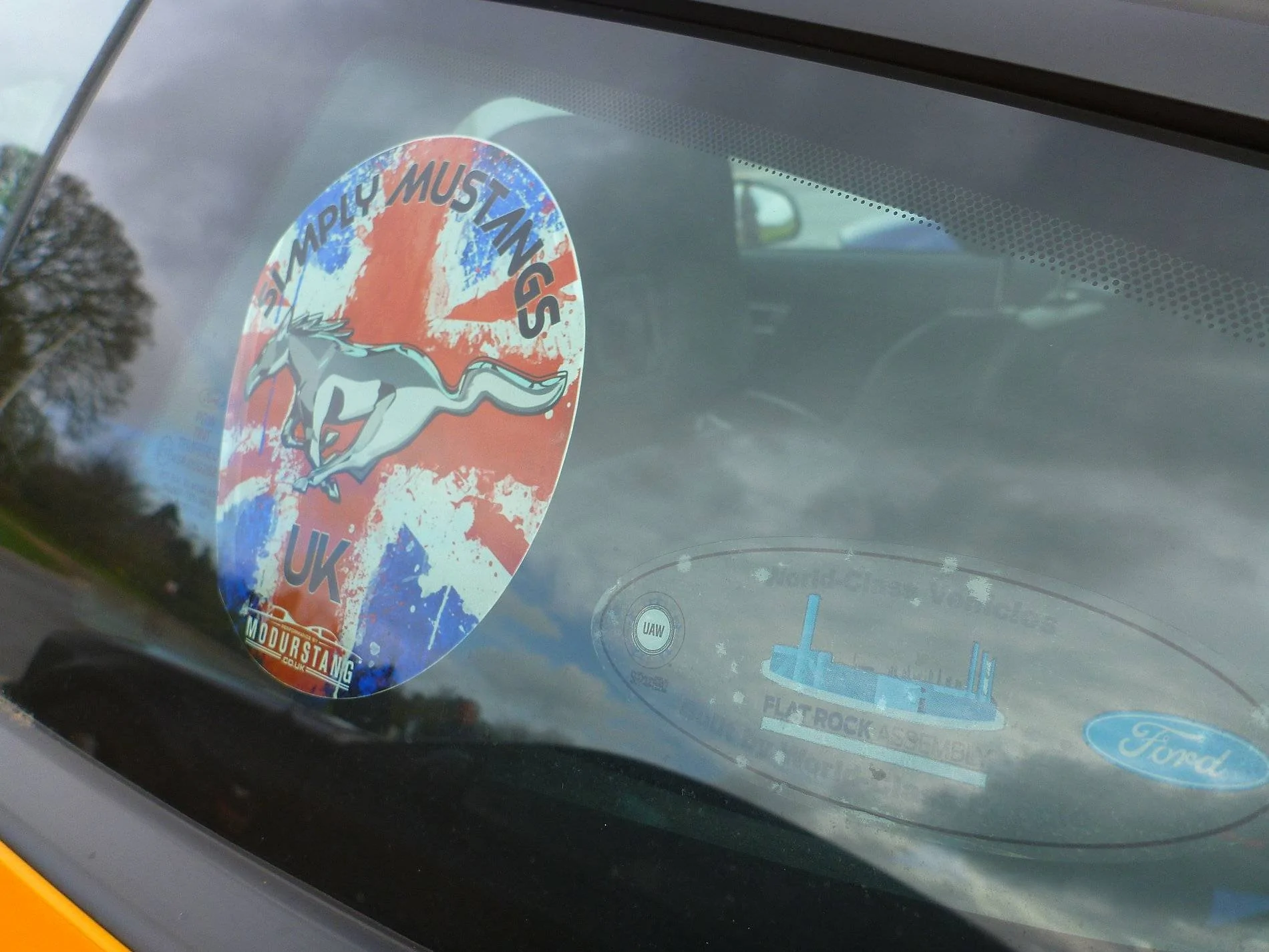 Mustangs - Shuttleworth - Feb '20 (11).webp