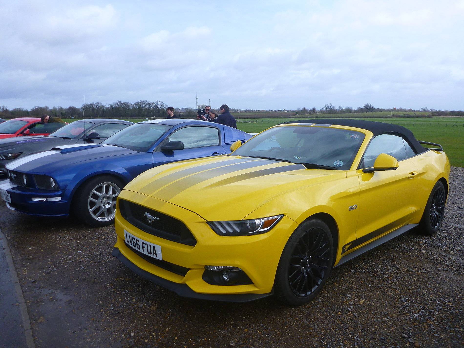 Mustangs - Shuttleworth - Feb '20 (12).JPG